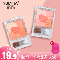 Five-color petal blush female Net red same matte Rouge nude makeup natural long-lasting high-gloss repair powder liquid