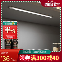 Huiduo Moonlight Silver Charging Infrared Human Body Sensor Light led Light Bar Free Wardrobe Cabinet Cabinet Light Bar