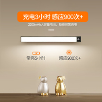 Intelligent human body sensor light household aisle strip light with led charging night light staircase kitchen bedside light strip