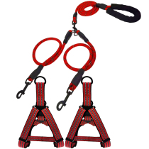 Dog traction rope one drag for two two dogs rope double head dog chain dog neckline dog collar traction with teddy Bears