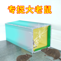 2 pieces of Yukangs household mouse board a nest end sticky mouse board mouse cage stickers catch rat artifacts increase and thicken