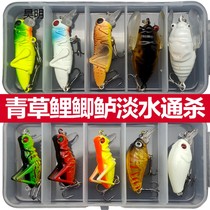  Herring grass carp carp crucian carp Tong kill bait set Luya bait Freshwater bionic grasshopper Cricket Insect bait