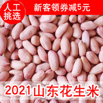 Peanuts fresh dried raw peanut kernel pink skin New goods 5kg Shandong farmhouse 2021 large grain without shell