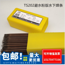 TS202 TS306 waterproof electrode TS304 underwater cutting strip TS208 welding freshwater brine