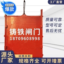 Cast iron gate integrated steel copper-inlaid door Channel Reservoir side rocking manual electric screw hoist screw hoist screw