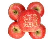 Apple tie zi fruit paste ke zi tie word tape copybook to Apple affixed to the copybook word I