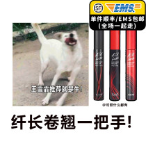 Now Clio Cole European mascara red black cover slim roll of thick and persistent killash king is recommended