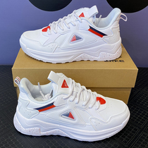 Hongxing Erke women sports shoes 2021 Winter trend casual shoes womens training tennis shoes 12120412090
