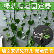 Green Luo Climbing Wall Fixer Household Non-adhesive Green Vine Climbing Fixed Sticker Green Carp artifact