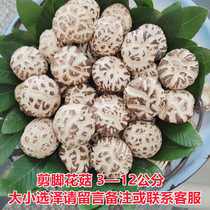 New premium size dried mushrooms 500g meat thick mushrooms dried goods Wild Mushrooms Mushrooms