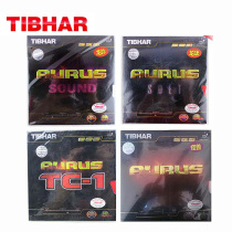 (Burning table tennis)Tall TIBHAR Dragon Yin Dragon howling dragon monster Ashkenazi internal energy anti-glue set glue