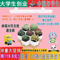 led full-spectrum green plant growth lamp fleshy vegetable flower supplement light home imitation Sun color