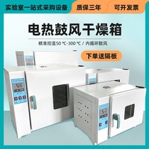 Blast drying oven laboratory household drying box material high temperature small oven electric heating constant temperature industrial oven