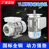 YL single-phase aluminum shell motor 220V 0 37KW vertical horizontal vertical AC asynchronous motor National standard reducer