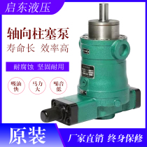 Enlighton High-pressure Oil Pump 10 10 25 40 63 63 80 80 160YCY 250YCY14-1B Axial Plunger Pump Hydraulic