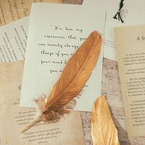 Gu Mei props Sheet music paper background Paper shooting background