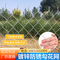 Hot galvanized wire hook net farmed chicken duck fencer network blocking cattle and sheep orchard fenced diamond network isolation protection network