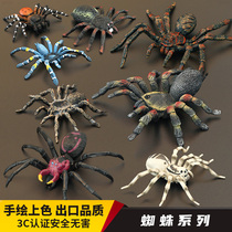 Solid children simulation animal toy model Spider tarantula tarantula Tarantula poisonous spider static cognitive gift ornaments
