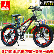 Phoenix Childrens Bicycle Boy Female Middle School Children Variable Speed 6-8-10 Years Old School Student Mountain Shock Disc Brake Bicycle