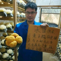 Gutian glutinous white fungus dry goods snow ear ugly girl fresh 500g glutinous ear small flower sulfur-free white fungus