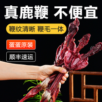 Jilin deer whip dried whole root and branch brewing wine ginseng formula Medicinal herbs for men antler slices fresh cream for men