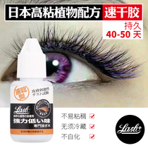 Beauty Mascara Special Grafting Eyelash Eyelash Black Glue False Eyelash Super Stick Professional Lasting Speed Dry Japan
