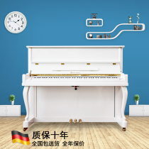 German Joseph Haydn E23A White Piano New 88 Key Professional Family Vertical Piano