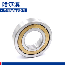 Harbin angular contact bearings 7036 7038 7040 7044 7052 7060 ACM