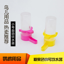High-quality bird feeding Water feeder Bird utensils Drinking water Any style of bird cage is suitable(small)