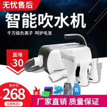 Pet Smart Hair Dryer Pooch Blower Blow dryer Domestic bath blow-drying Divine Instrumental Large Dog Dedicated