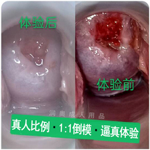 Silicone non-punching inflatable doll doll male live version of the living soft glue real yin solid female doll inverted mold sex toy