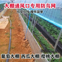 Greenhouse Bird-Proof Net Strawberry Greenhouse Vent Anti-Bird Mesh Winter Warm Shed Bird-proof netting New type of wearing side nylon gauze
