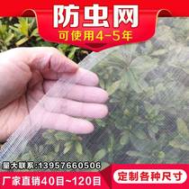 Insect net household window gauze net Mosquito and Fly agricultural greenhouse vegetable garden fruit tree poplar tree poplar tree navel orange tree pig breeding factory