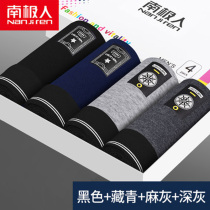 Antarctic mens underwear mens cotton sexy breathable youth shorts head printing trend flat corner cotton pants autumn and winter