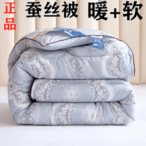 Silk quilt 100 silk winter quilt 8kg cotton silk quilt spring and autumn quilt 6kg summer quilt air conditioning quilt core