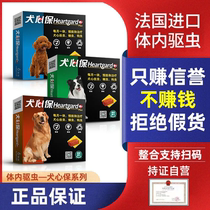 Dog heart protection dog insect repellent pet small dog medium-sized dog large dog heartworm pup adult dog