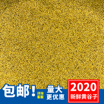 Fresh yellow millet with Shell Millet Bird grain Parrot bird food tiger skin peony peony Xuanfeng Wen bird feed 50kg