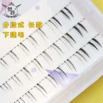 Menglu false eyelashes under eyelashes false eyelashes female supernatural single cluster segmented long FD06