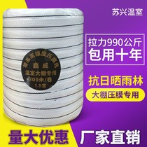 Manufacturer direct sale special price greenhouse pressure film rope pressure film line pressure film with greenhouse accessories white polyester anti-ageing