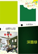 Exterior wall paint waterproof sunscreen dark green latex paint matte military green wall paint self-brush refurbished color paint