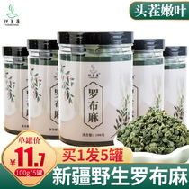 Wild apocynum tea Xinjiang Super drop 500g pressed apocynum tea canned 1 catty of luobuma origin