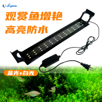 Fish tank lamp LED lamp waterproof lamp holder desktop small goldfish tank to increase the beauty of water grass landscape lighting bracket aquarium lamp