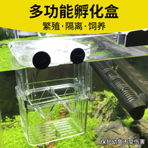 Guppy breeding box Isolation box fish tank Aquarium floating acrylic turtle young fry hatching pneumatic delivery room