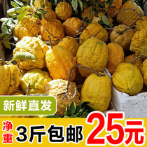Yunnan Fresh Citron Fruit Tea Fragrant Non-bergamot Farmhouse Fruit 2-9 Jin Farmhouse Chinese Medicinal Fragrant Garden