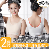 Developmental small vest Junior High School High School students 14-15-16 years old girl bra middle child girl underwear Cotton