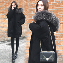 Pregnant women coat cotton-padded clothes autumn and winter long fashion Korean new large size loose slimming belly cover down cotton jacket