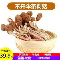 Do not open the umbrella tea tree mushroom 500g Fujian Gutian dry goods hand-selected soup hot pot ingredients sulfur-free smoked farm production