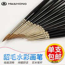 Huahong 610 hook line Pen watercolor pen mink hair hand drawn very fine animation stroke line art painting gouache acrylic set