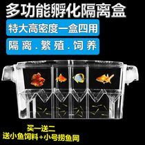 Fish tank tropical fish guppies breeding box outside tank incubator box small fish isolation box fighting fish breeding box