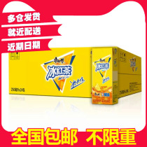 Master Kong ice black Tea 250ml*24 boxes lemon flavor tea beverage carton full box delivery
